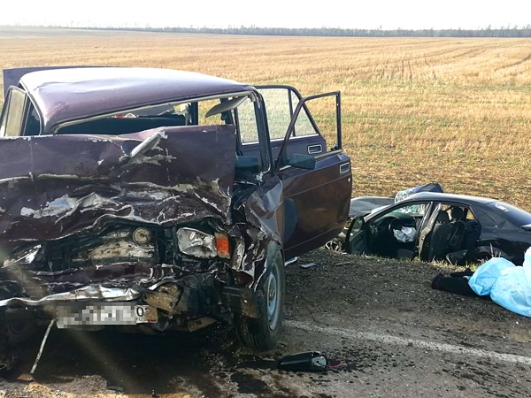 В ГИБДД по Башкирии назвали предварительную причину смертельной аварии, в которой пострадали дети