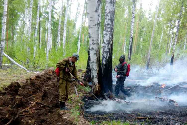 Полторы тысячи гектаров леса горит в Иркутской области утром 21 июня