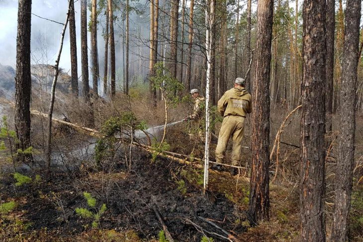 103 тысячи гектаров горит в Иркутской области утром 10 июля