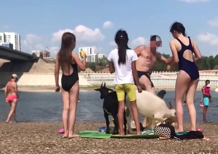 Жители Уфы хотят наказать мужчину, обидевшего на городском пляже домашнего козла