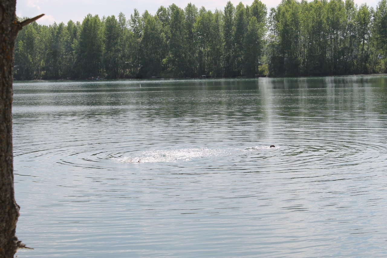 В Башкирии спасли упавшего в воду во время соревнований спортсмена
