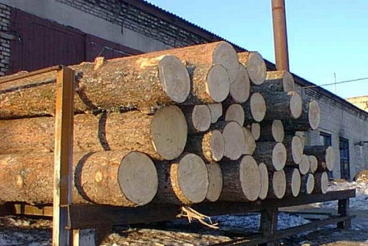 Иркутянина обвиняют в контрабанде леса на 60 миллионов рублей