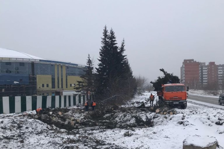 На улице Улан-Баторской спилили деревья для строительства дороги к новому ледовому дворцу